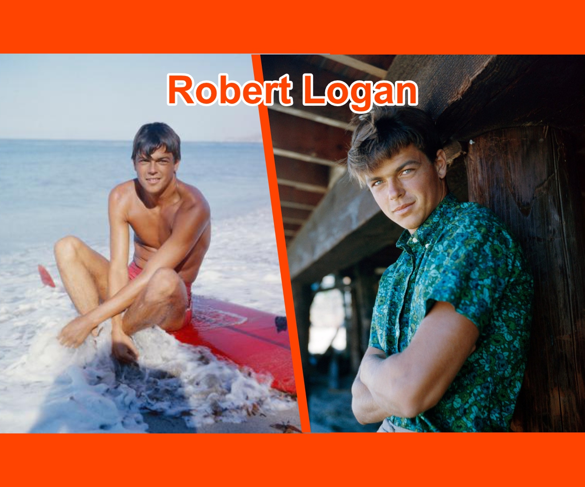 Robert Logan