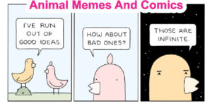 Animal Memes And Comics